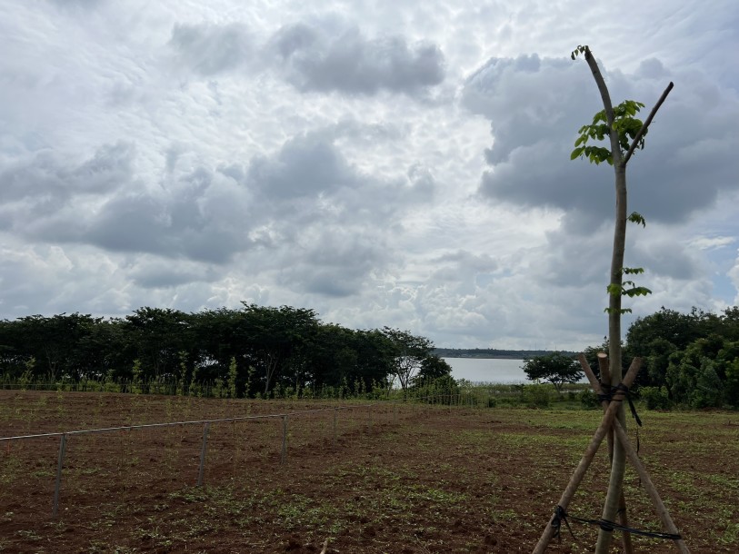 Bán đất Ven hồ Sông Ray Xã Bình Sơn Huyện Châu Đức Bà Rịa Vũng Tàu