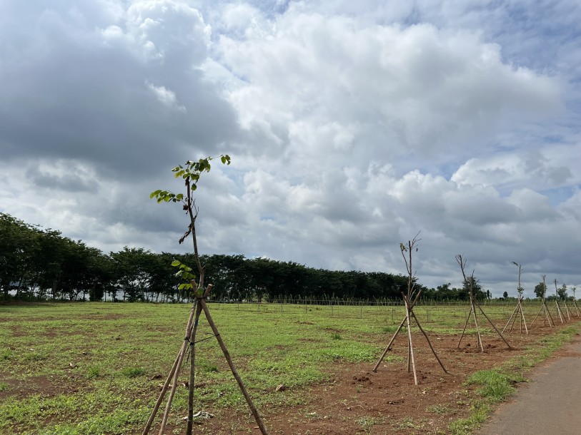 Bán đất Ven hồ Sông Ray Xã Bình Sơn Huyện Châu Đức Bà Rịa Vũng Tàu