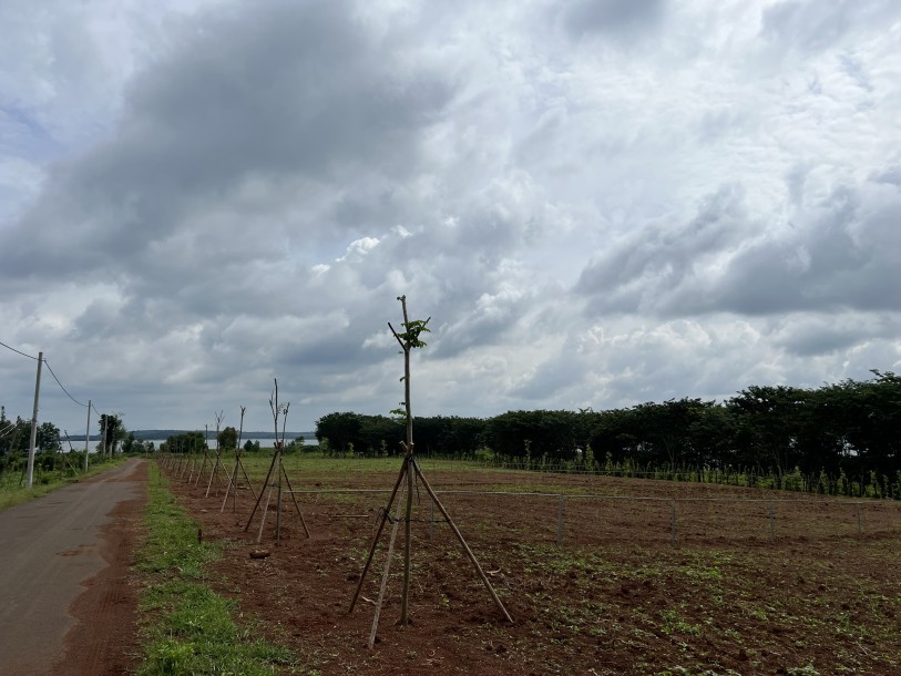 Bán đất Ven hồ Sông Ray Xã Bình Sơn Huyện Châu Đức Bà Rịa Vũng Tàu