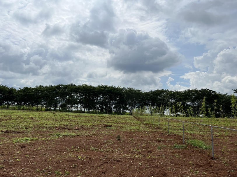 Bán đất Ven hồ Sông Ray Xã Bình Sơn Huyện Châu Đức Bà Rịa Vũng Tàu